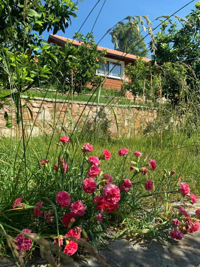 The Mussel House Villa Ksamil Luaran gambar